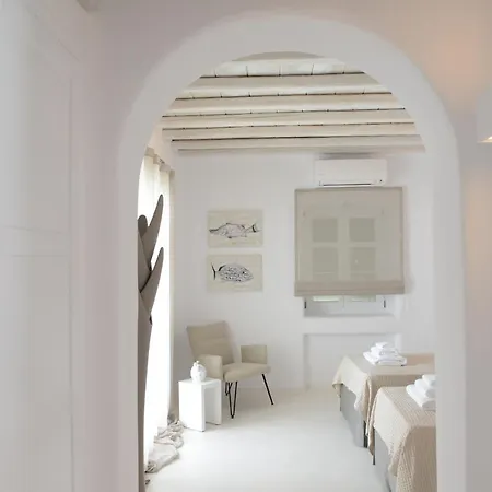 Diles Villas&suites Mykonos Villa *