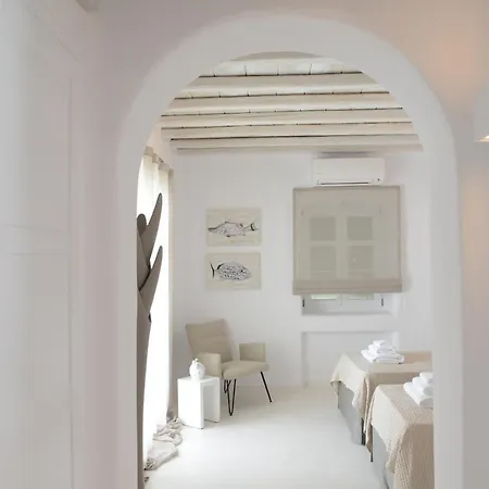 Diles & Mykonos Villa *